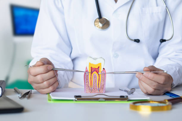 Best Emergency Wisdom Teeth Removal in Briar Chapel, NC